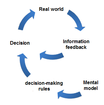 Decision -> Real world -> Information feedback -> repeat
